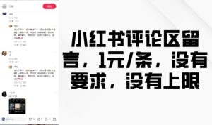 小红书评论区留言,1元条,没有要求,没有上限-成可创学网