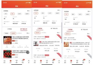 2025最新京东蓝海项目,0 门槛日入 1k+,小白宝妈轻松上手【揭秘】-成可创学网