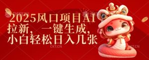 2025风口项目AI拉新，一键生成，小白轻松日入几张-成可创学网