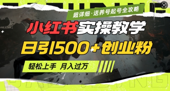 2月小红书最新日引500+创业粉实操教学【超详细】小白轻松上手，月入1W+，附小红书养号起号SOP-成可创学网
