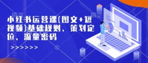 小红书运营课(图文+短视频)基础规则、策划定位、流量密码-成可创学网