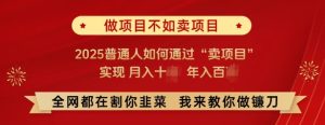 必看,做项目不如卖项目,2025普通人如何通过“卖项目”实现月入十个,年入百个-成可创学网