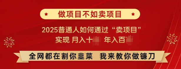 必看，做项目不如卖项目，2025普通人如何通过“卖项目”实现月入十个，年入百个-成可创学网