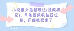小说推文最新玩法(视频标记)，单条视频收益四位数，详细教程来了-成可创学网