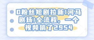 0粉丝短剧拉新(河马剧场)全流程,一个视频搞了2954-成可创学网