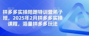 拼多多实操陪跑特训营弟子班，2025年2月拼多多实操课程，海量拼多多玩法-成可创学网