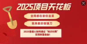 2025项目天花板普通人如何通过知识付费，实现财F自由【揭秘】-成可创学网
