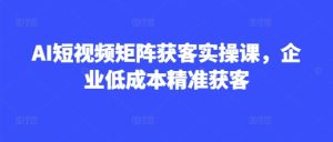 AI短视频矩阵获客实操课，企业低成本精准获客-成可创学网