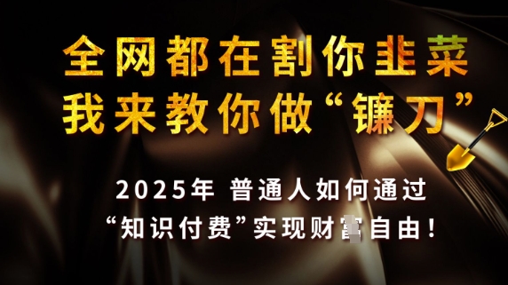 全网都在割你韭菜，我来教你做镰刀，2025普通人如何通过知识付费，实现财F自由【揭秘】-成可创学网