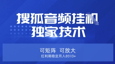 【搜狐音频挂G】独家技术，可矩阵可放大，红利期稳定月入8k【揭秘】-成可创学网