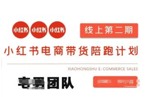 小红书电商带货课2期,月利润20个的小红书电商的有货源,无货源,虚拟产品,付费投流等整套玩法-成可创学网