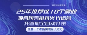 25年推荐这10个副业项目包含褂鸡类、代运营托管类、全自动打金类【揭秘】-成可创学网