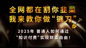 全网都在割你韭菜，我来教你做镰刀,2025普通人如何通过知识付费，实现财F自由【揭秘】-成可创学网