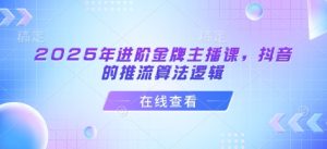 2025年进阶金牌主播课，抖音的推流算法逻辑-成可创学网