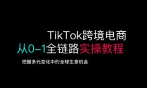TikTok跨境电商从0-1全链路全方位实操教程，把握多元变化中的全球生意机会-成可创学网