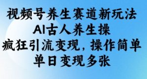 视频号养生赛道新玩法,AI古人养生操,疯狂引流变现,操作简单,单日变现多张-成可创学网