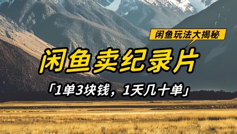 闲鱼卖纪录片1单3块钱，1天几十单，项目稳定有潜力-成可创学网