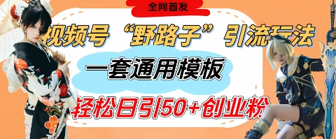 视频号“野路子”玩法，评论区疯狂截流，一套模板单日单号引流50+创业粉-成可创学网