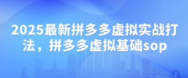2025最新拼多多虚拟实战打法，拼多多虚拟基础sop-成可创学网