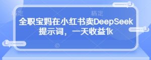 全职宝妈在小红书卖DeepSeek提示词,一天收益1k-成可创学网