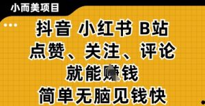 小而美的项目，抖音小红书B站视频点赞、关注、评论就能挣钱，简单无脑立见收益，妥妥的零撸项目【揭秘】-成可创学网