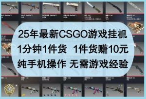 25年最新CSGO游戏挂G，1分钟1件货，1件货挣10元，纯手机操作，无需游戏经验【揭秘】-成可创学网