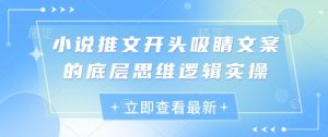 小说推文开头吸睛文案的底层思维逻辑实操-成可创学网