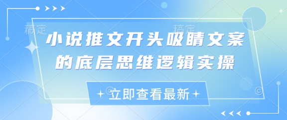小说推文开头吸睛文案的底层思维逻辑实操-成可创学网