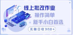 线上批改作业，操作简单新手小白首选，无脑日收300+【揭秘】-成可创学网
