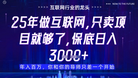 什么！25年你还在找项目做？风口早就变了，卖项目才是稳挣不赔【揭秘】-成可创学网