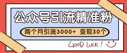 公众号精准粉引流玩法，2个月3000+精准粉，变现30个W【揭秘】-成可创学网