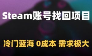 Steam账号找回项目，冷门蓝海，0成本，需求极大-成可创学网