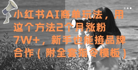 小红书AI商单玩法，用这个方法2个月涨粉7W+，新手也能接品牌合作(附全套指令模板)-成可创学网